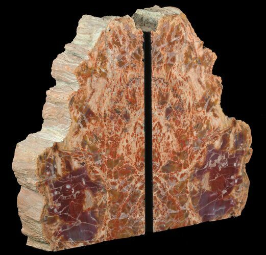 Tall, Colorful, Arizona Petrified Wood Bookends #65961